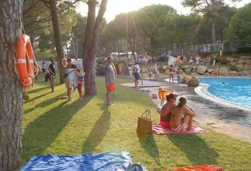 Camping Cala Montgó