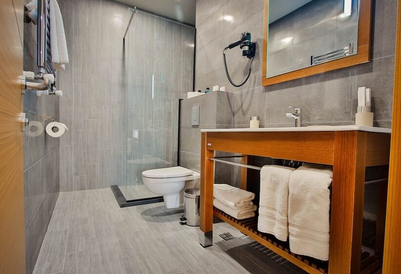 هتل Ameri Plaza Tbilisi