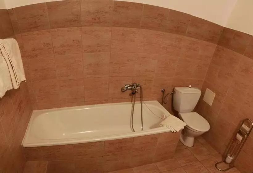 Hotelli Penzion Bohemia