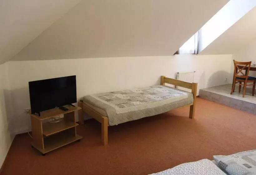 Hotelli Penzion Bohemia