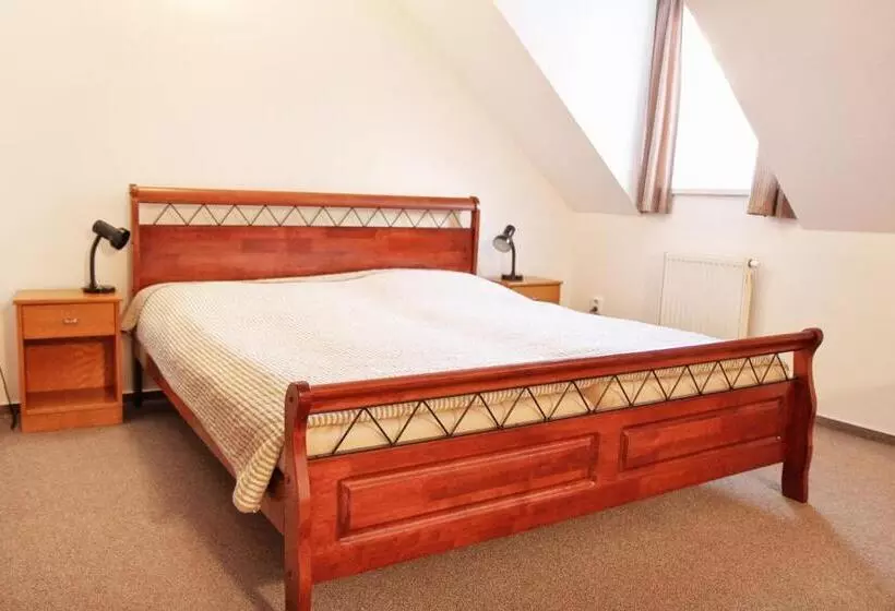 Hotelli Penzion Bohemia