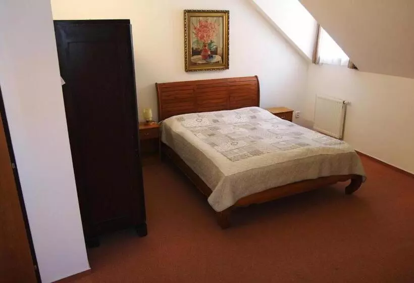 Hotelli Penzion Bohemia