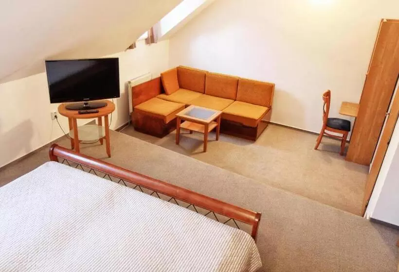 Hotelli Penzion Bohemia