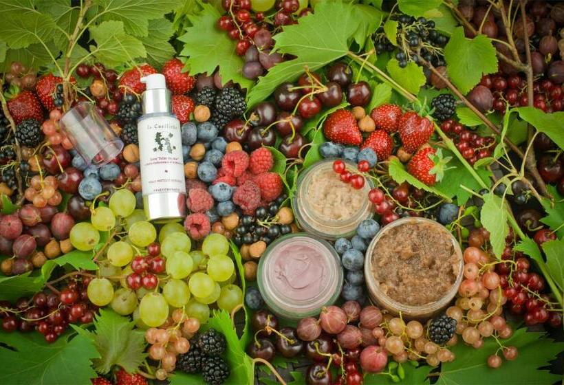 בית מלון כפרי Château & Spa De La Cueillette