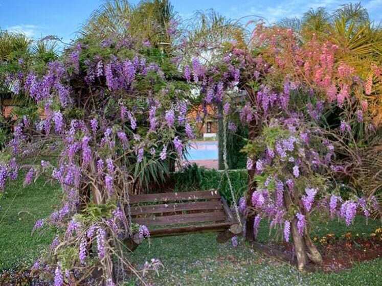 فندق Tenondé Park