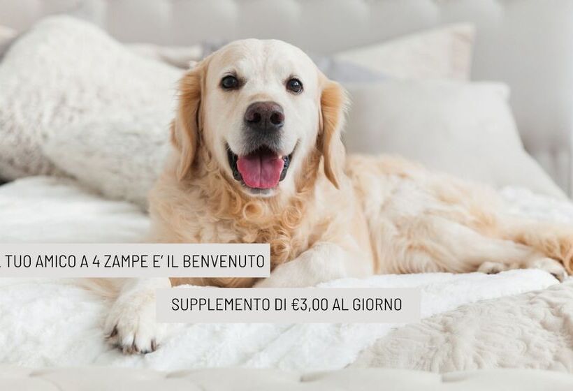 هتل B&b Ardea Rimini