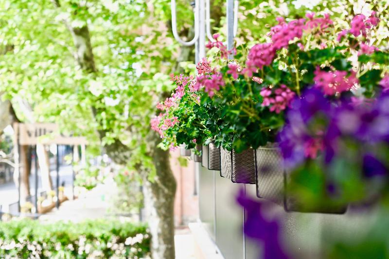 فندق Kursaal Di Bellaria