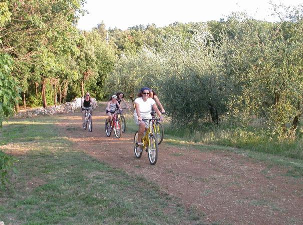 צימר Borgo Gallinaio