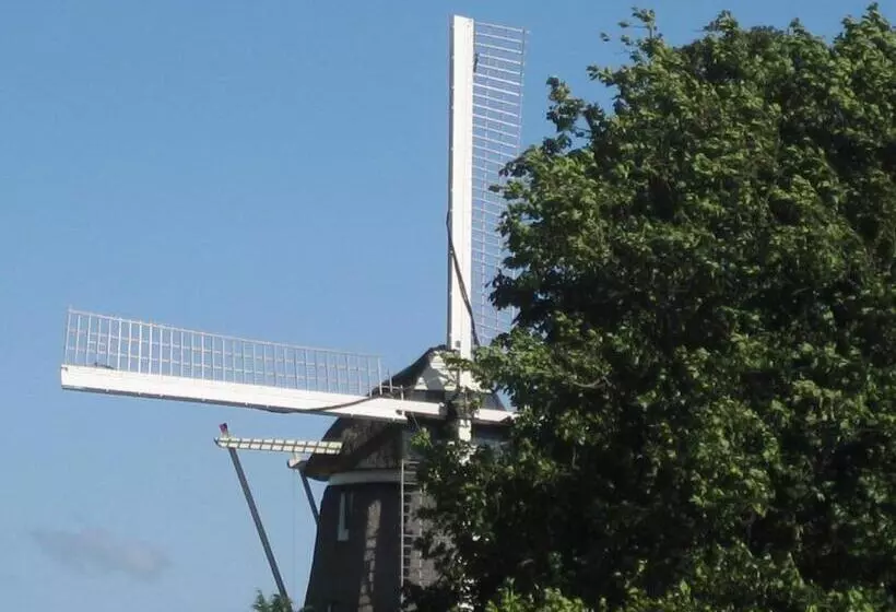 تختخواب و صبحانه Quarenta Studio