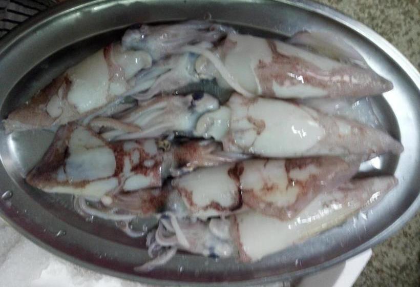 هتل Hostal Miguel