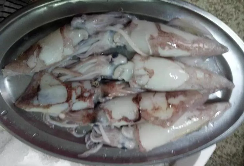 Hotelli Hostal Miguel