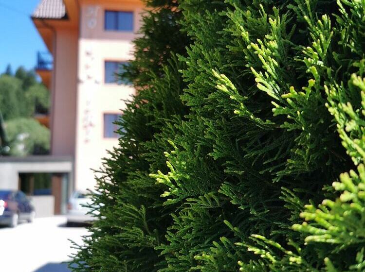 בית מלון כפרי Iri