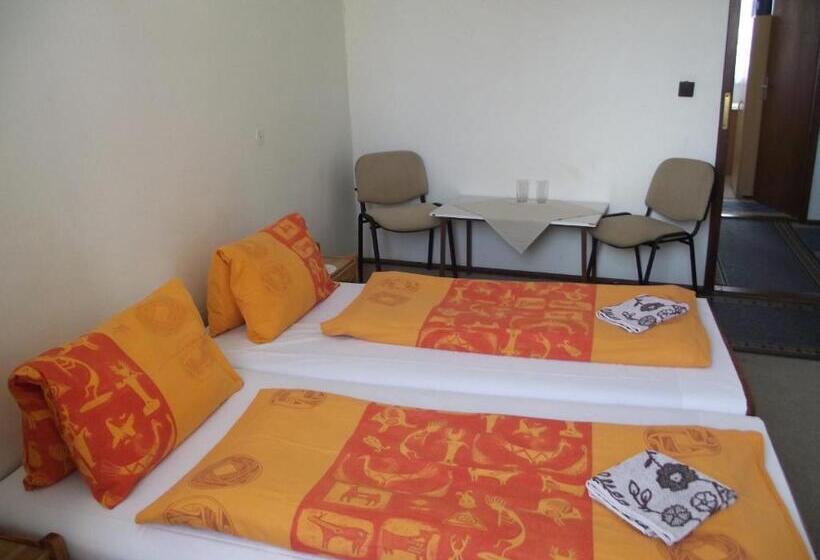 酒店 Penzión Slávia