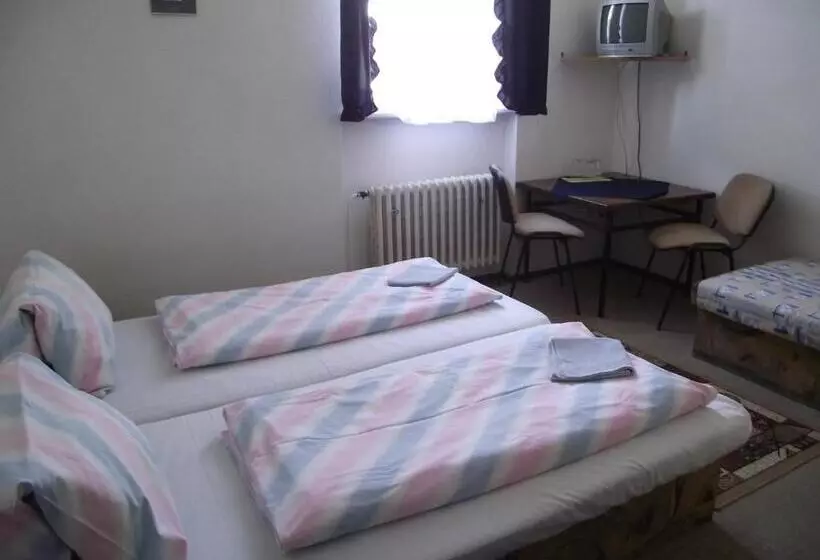 هتل Penzión Slávia