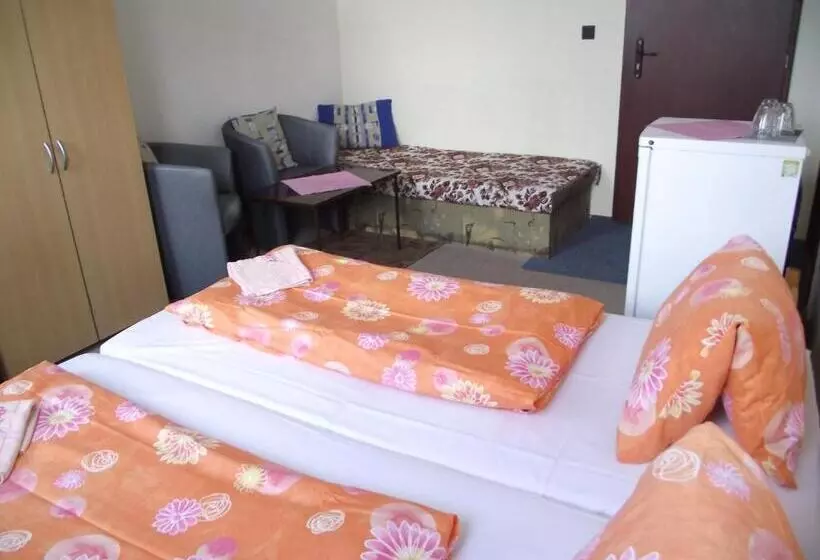 هتل Penzión Slávia