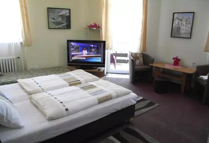 هتل Penzión Slávia