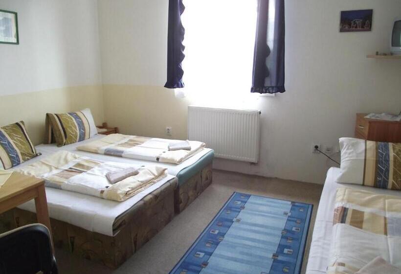 酒店 Penzión Slávia