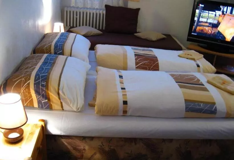 هتل Penzión Slávia