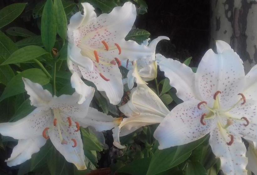 Bed and Breakfast Les Chambres D Hôtes De Luneil