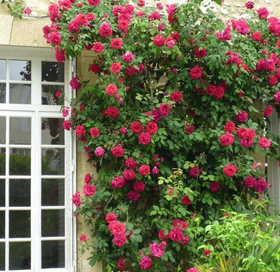 Bed and Breakfast Les Chambres D Hôtes De Luneil