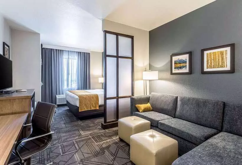 ホテル Comfort Inn & Suites Salt Lake City Airport