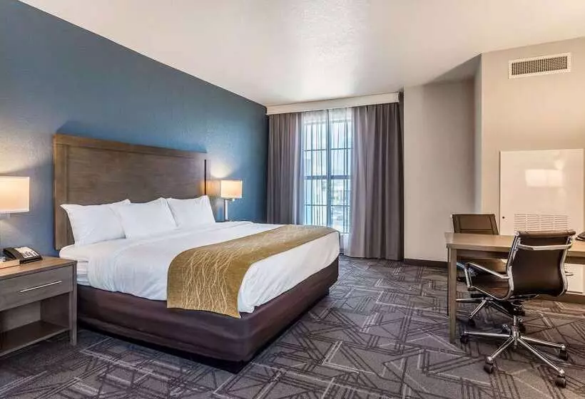 ホテル Comfort Inn & Suites Salt Lake City Airport