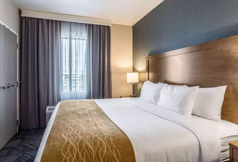 ホテル Comfort Inn & Suites Salt Lake City Airport