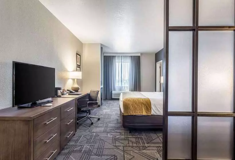 ホテル Comfort Inn & Suites Salt Lake City Airport