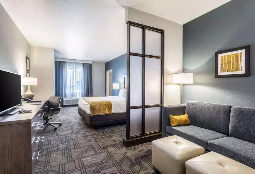 ホテル Comfort Inn & Suites Salt Lake City Airport