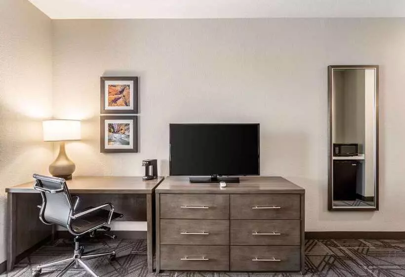 ホテル Comfort Inn & Suites Salt Lake City Airport