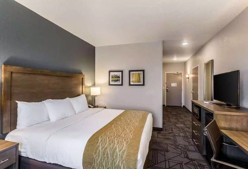 ホテル Comfort Inn & Suites Salt Lake City Airport