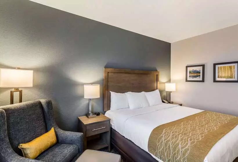ホテル Comfort Inn & Suites Salt Lake City Airport