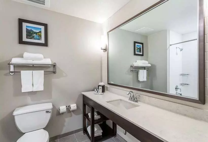 ホテル Comfort Inn & Suites Salt Lake City Airport