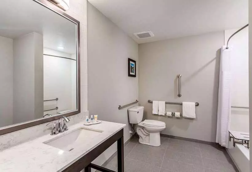 ホテル Comfort Inn & Suites Salt Lake City Airport