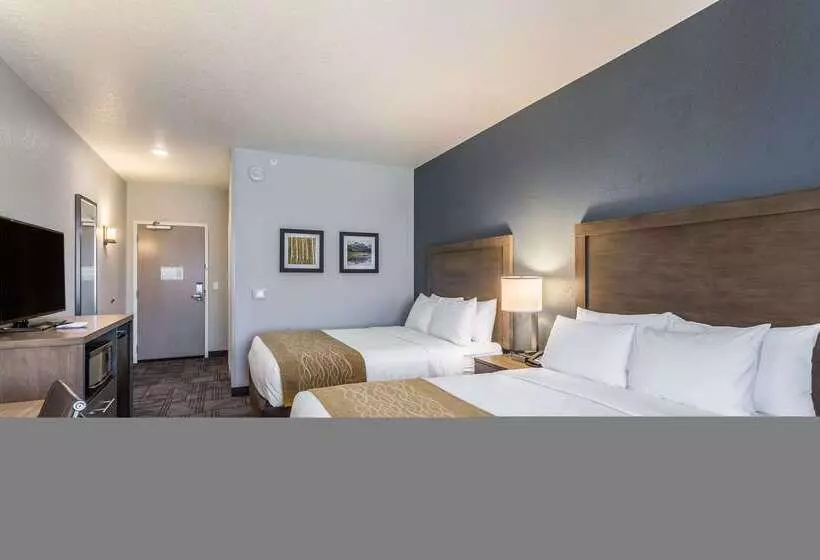 ホテル Comfort Inn & Suites Salt Lake City Airport