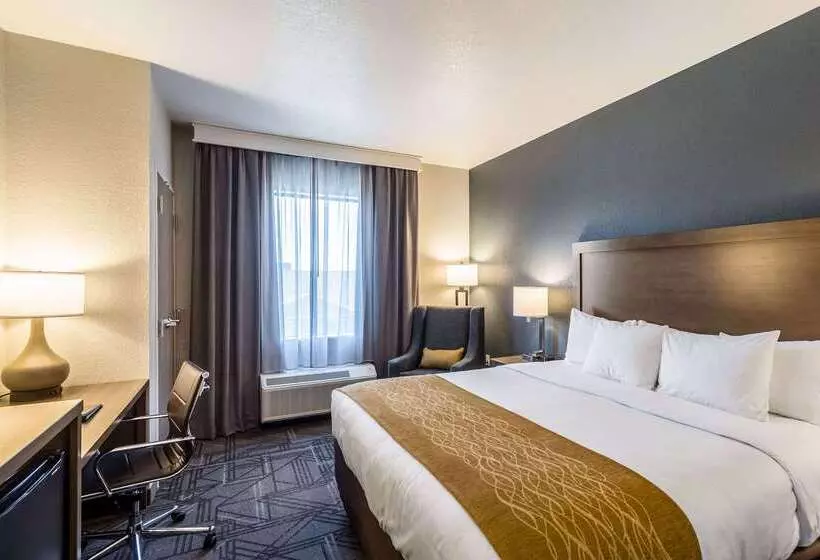 ホテル Comfort Inn & Suites Salt Lake City Airport
