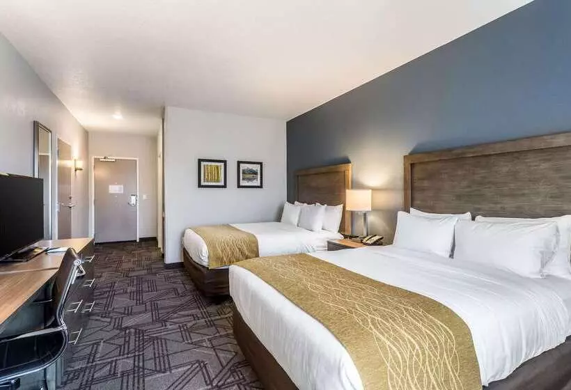 ホテル Comfort Inn & Suites Salt Lake City Airport