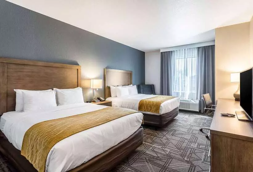 ホテル Comfort Inn & Suites Salt Lake City Airport