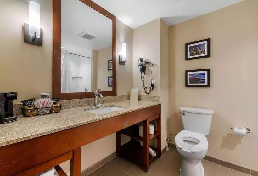 Hotelli Comfort Suites Denver Near Anschutz Medical Campus