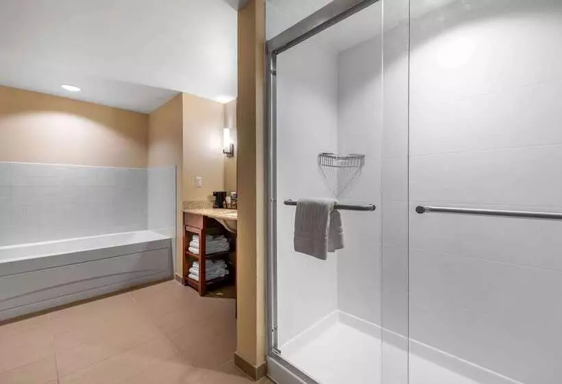 Hotelli Comfort Suites Denver Near Anschutz Medical Campus