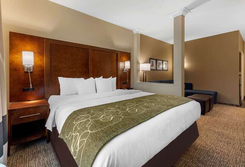 فندق Comfort Suites Denver Near Anschutz Medical Campus