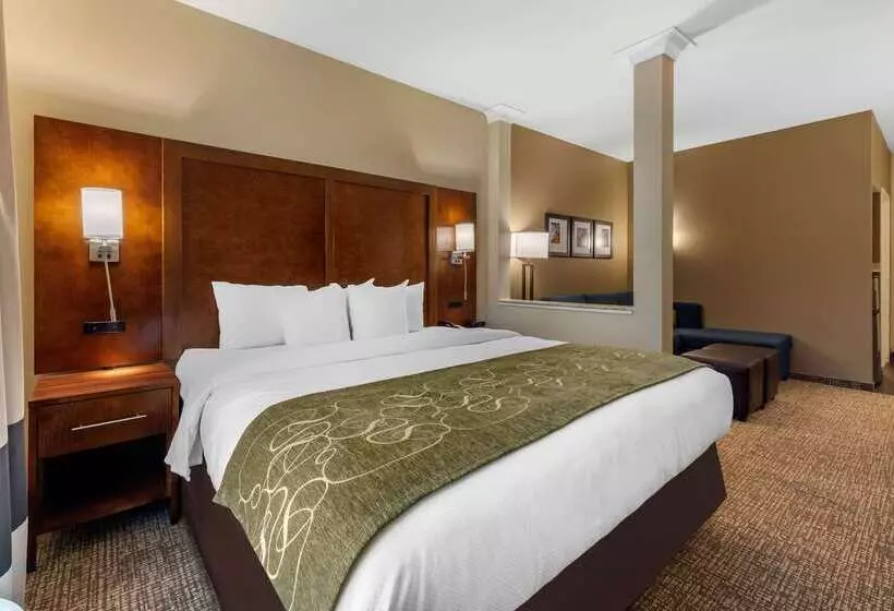 Hotelli Comfort Suites Denver Near Anschutz Medical Campus