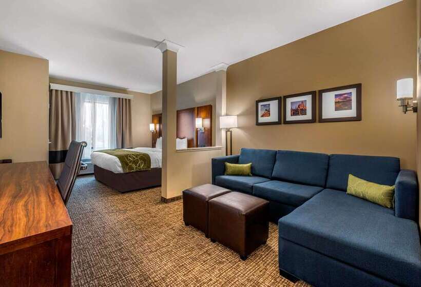 فندق Comfort Suites Denver Near Anschutz Medical Campus
