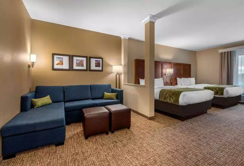 Hotelli Comfort Suites Denver Near Anschutz Medical Campus