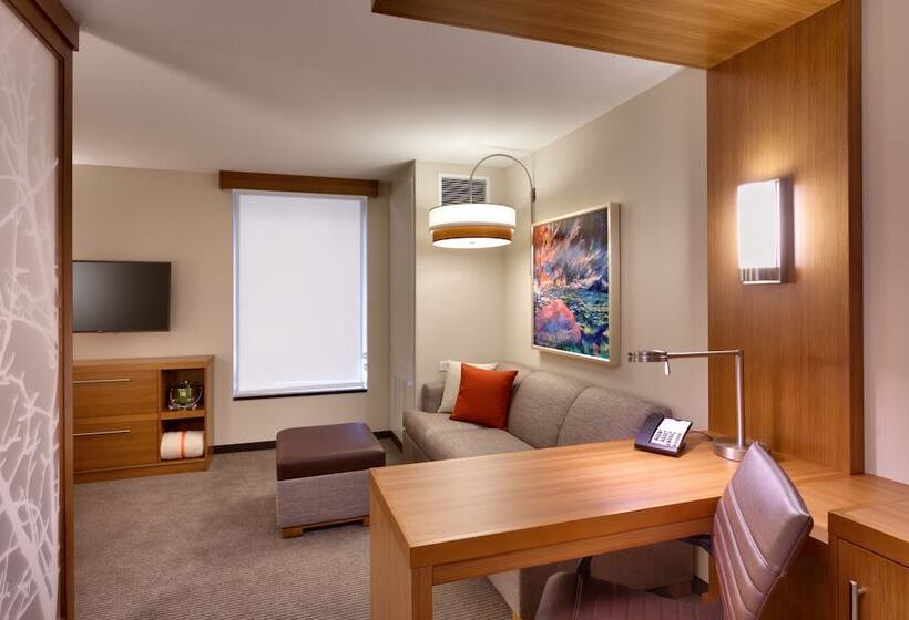 فندق Hyatt Place St George/convention Center