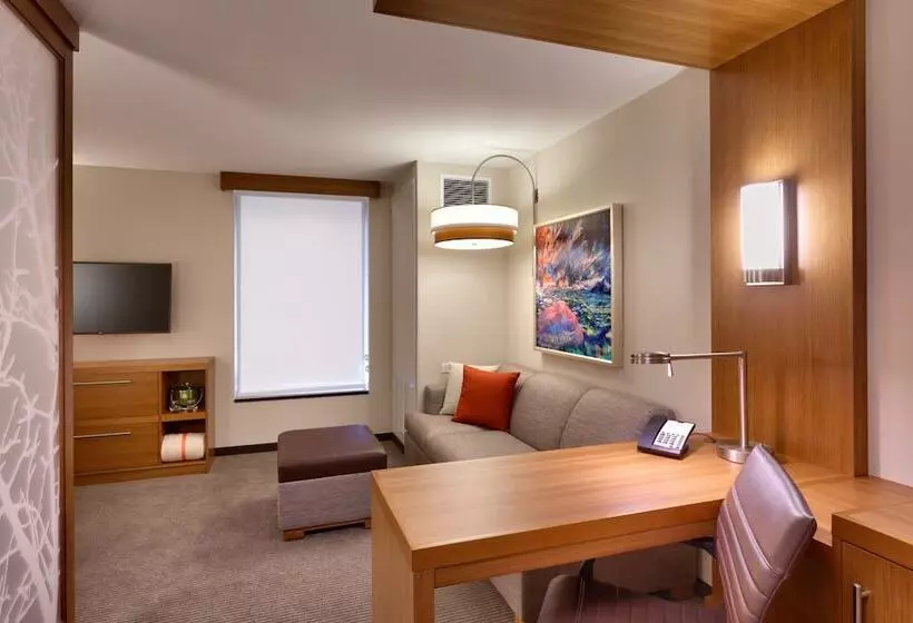 هتل Hyatt Place St George/convention Center
