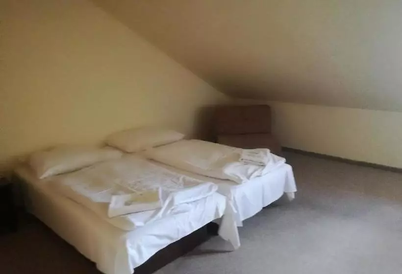 Hotelli Zlatý K í