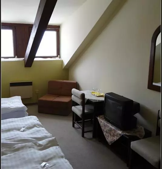 Hotelli Zlatý K í