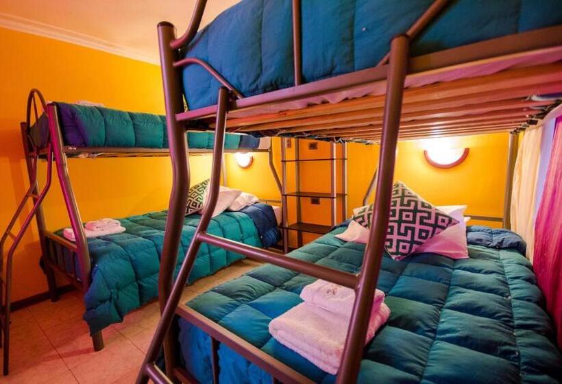 הוסטל Hostal Kirckir