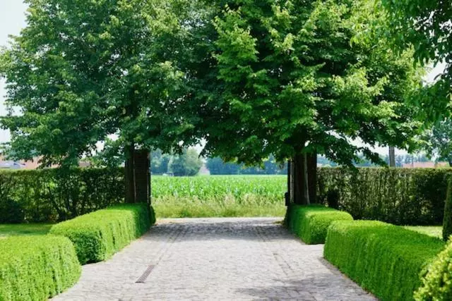 B&b De Hulst